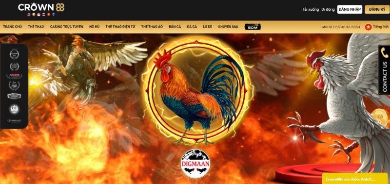 Sản phẩm đá gà mang đến những màn cược kê ấn tượng